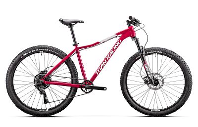 Превью  Велосипед TITAN RACING Rogue Calypso Cruz (2024)